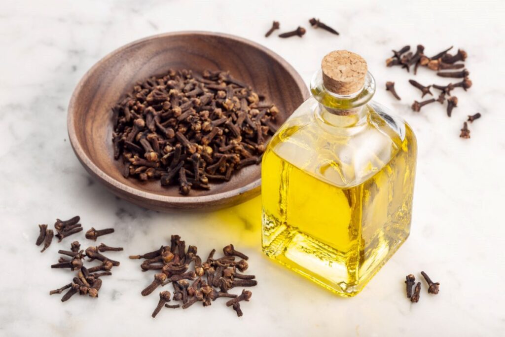 Bottle of clove oil, next to a bowl of cloves.