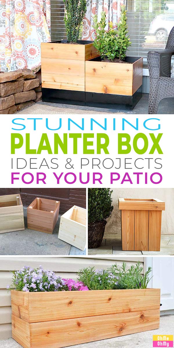 Stunning Planter Box Ideas & Projects for Your Patio