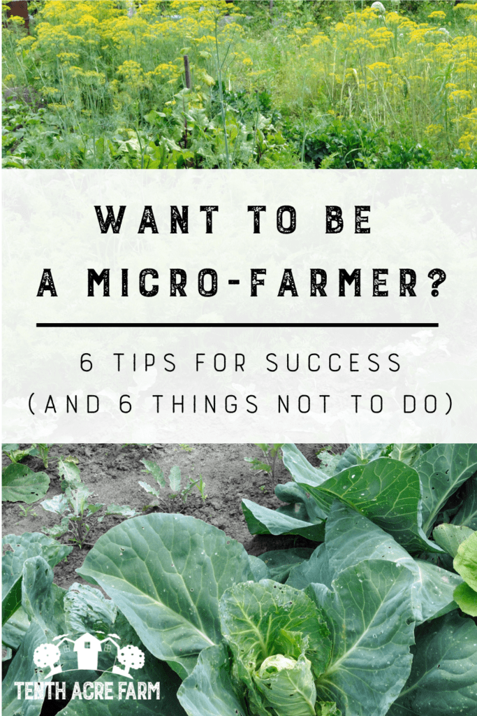 Want to Be a Micro-Farmer? 6 Tips for Success