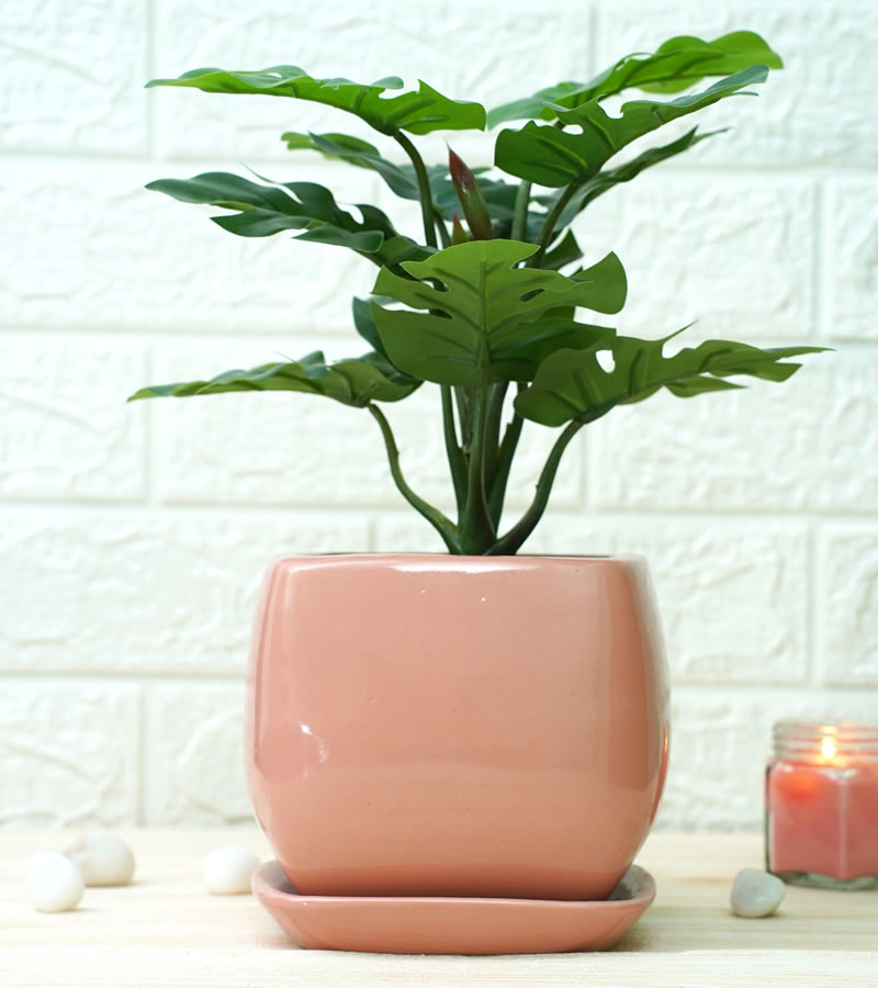 The Ultimate Guide to Choosing the Perfect Planter Pot for Your Plants » Residence Style